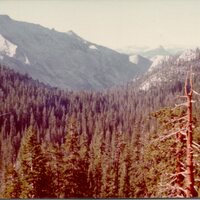record-thumbnail